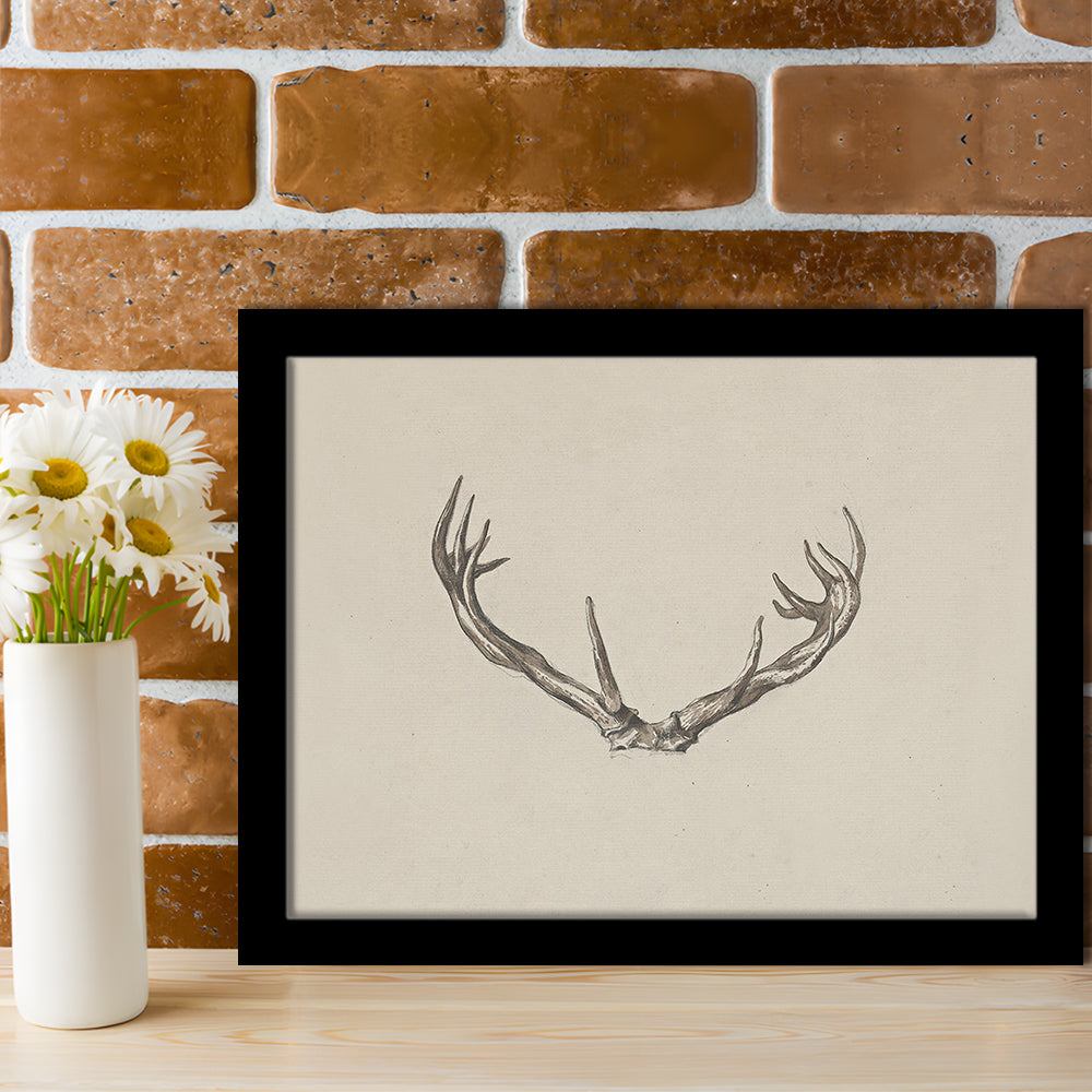 Vintage Deer Antlers Sketch Prints Framed Art Print Wall Decor, Holiday Print, Ready to hang