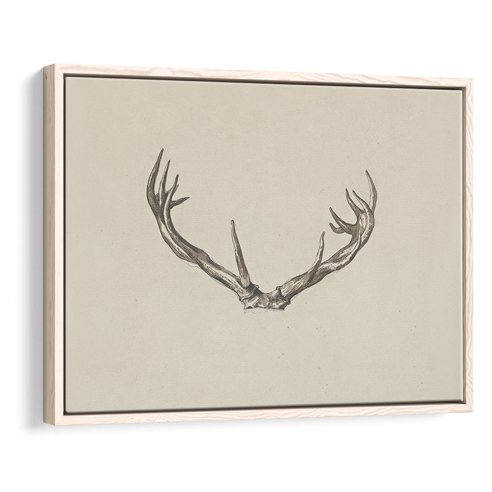 Vintage Deer Antlers Sketch Prints Framed Canvas Print Wall Art, Holiday Print, Ready to hang