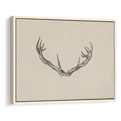 Vintage Deer Antlers Sketch Prints Framed Canvas Print Wall Art, Holiday Print, Ready to hang