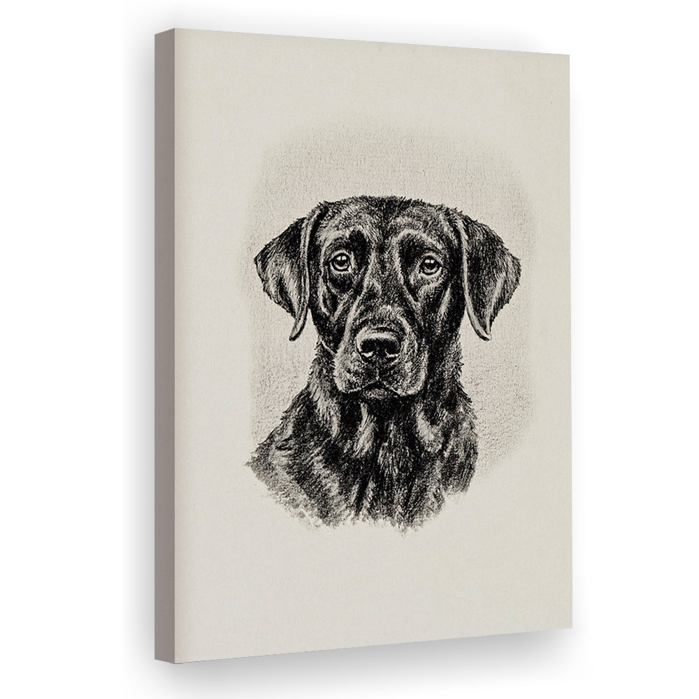 Vintage Dog Sketch of Dogs Print Yourself Antique Dog Black Lab Portrait Vintage Pet