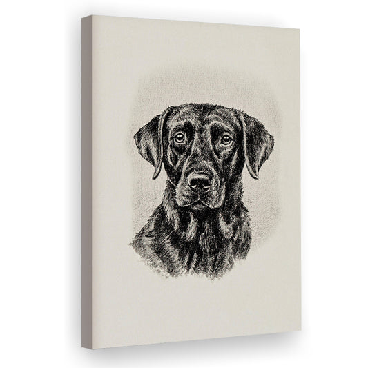Vintage Dog Sketch of Dogs Print Yourself Antique Dog Black Lab Portrait Vintage Pet