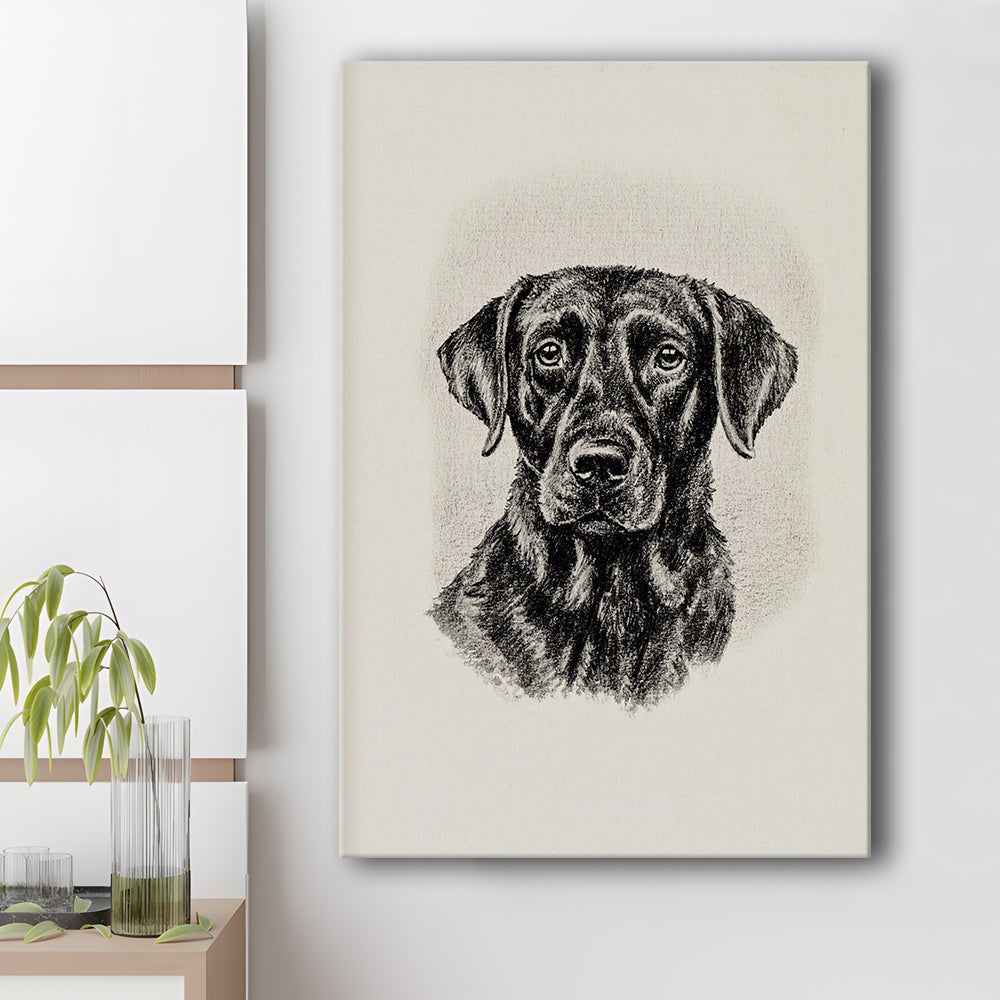 Vintage Dog Sketch of Dogs Print Yourself Antique Dog Black Lab Portrait Vintage Pet