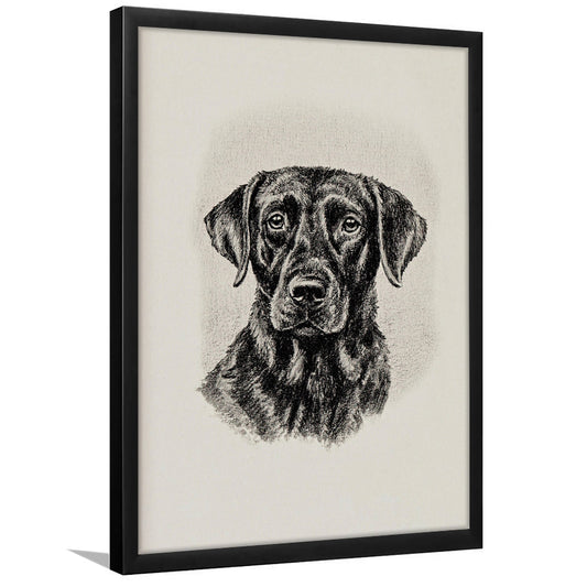 Vintage Dog Sketch of Dogs Print Yourself Antique Dog Black Lab Portrait Vintage Pet