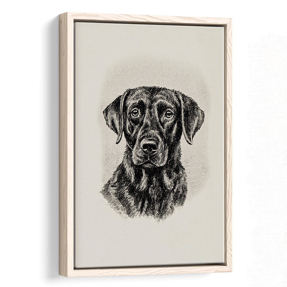 Vintage Dog Sketch of Dogs Print Yourself Antique Dog Black Lab Portrait Vintage Pet