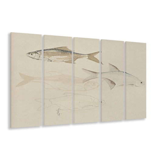 Vintage Fish Sketch Fish Painting Art 5 Panels Canvas Print Wall Art, Farmhouse Decor