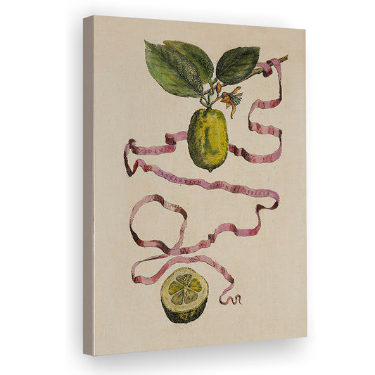 Vintage Limes Still Life Print Botanical Canvas Print Wall Art, Cottage Core Decor Rustic Fine Art Print