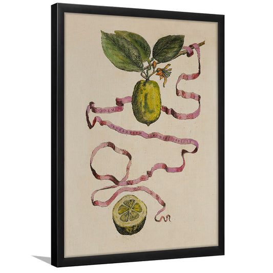 Vintage Limes Still Life Print Botanical Framed Art Print Wall Decor, Cottage Core Decor Rustic Fine Art Print