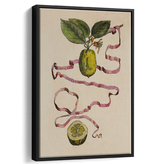Vintage Limes Still Life Print Botanical Framed Canvas Print Wall Art, Cottage Core Decor Rustic Fine Art Print