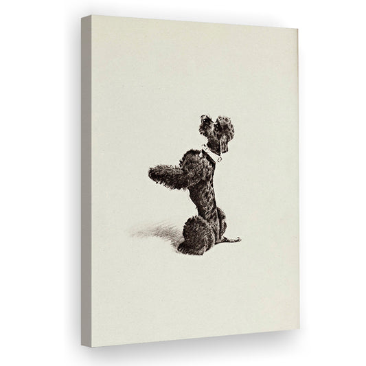 Vintage Pet Portrait Print Vintage Poodle Sketch Canvas Print Wall Art, Dog Nursery Decor Neutral Wall Art
