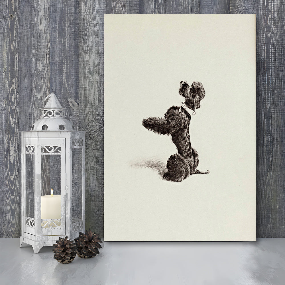 Vintage Pet Portrait Print Vintage Poodle Sketch Canvas Print Wall