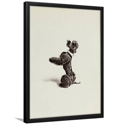 Vintage Pet Portrait Print Vintage Poodle Sketch Framed Art Print Wall Decor, Dog Nursery Decor Neutral Wall Art