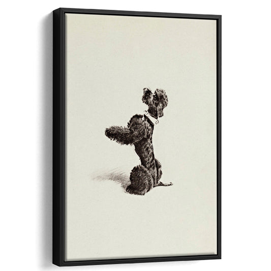 Vintage Pet Portrait Print Vintage Poodle Sketch Framed Canvas Print Wall Art, Dog Nursery Decor Neutral Wall Art