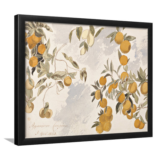 Vintage Still Life Print Framed Art Print Wall Decor, Farmhouse Decor Oranges Lemons