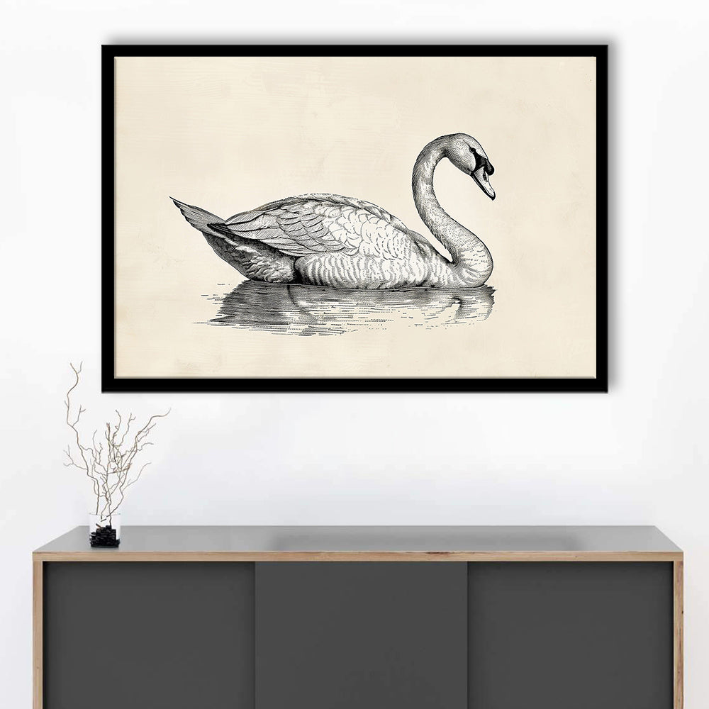 Vintage Swan Print,Antique Print,Wall Decor,Country Farmhouse Decor, Framed Art Print Wall Decor, Picture Framed