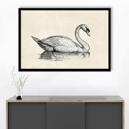 Vintage Swan Print,Antique Print,Wall Decor,Country Farmhouse Decor, Framed Art Print Wall Decor, Picture Framed