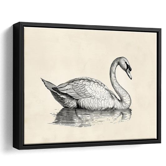 Vintage Swan Print,Antique Print,Wall Decor,Country Farmhouse Decor, Framed Canvas Print Wall Art, Floating Frame