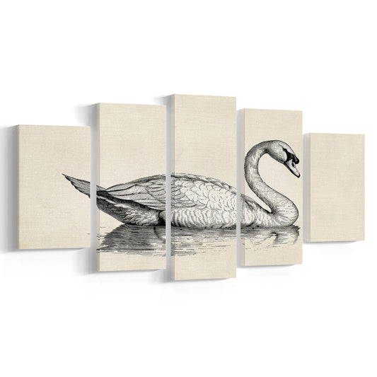 Vintage Swan Print,Antique Print,Wall Decor,Country Farmhouse Decor, 5 Panel Mixed Canvas Print Wall Art, Large Canvas