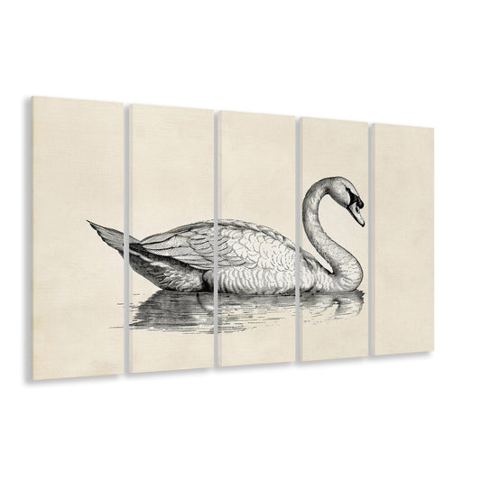 Vintage Swan Print,Antique Print,Wall Decor,Country Farmhouse Decor, 5 Panel B Canvas Print Wall Art, Extra Large Canvas