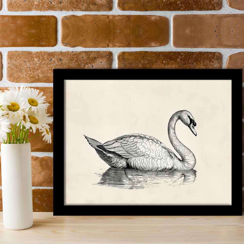 Vintage Swan Print,Antique Print,Wall Decor,Country Farmhouse Decor, Framed Art Print Wall Decor, Picture Framed