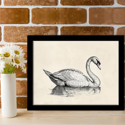 Vintage Swan Print,Antique Print,Wall Decor,Country Farmhouse Decor, Framed Art Print Wall Decor, Picture Framed