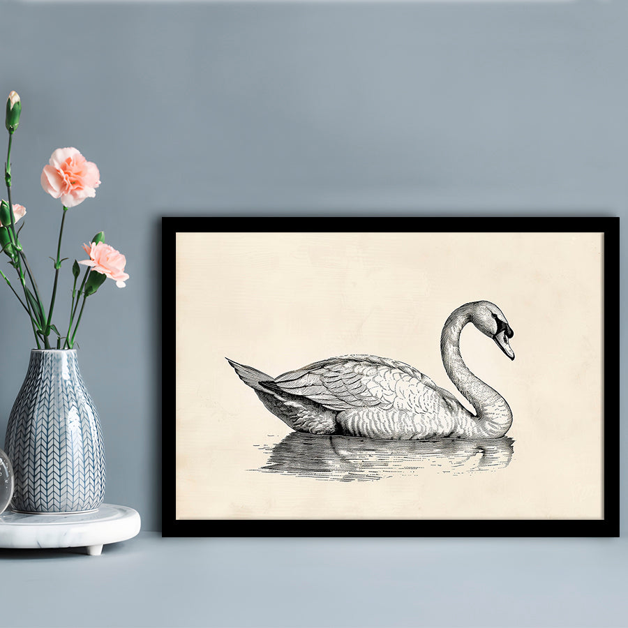 Vintage Swan Print,Antique Print,Wall Decor,Country Farmhouse Decor, Framed Art Print Wall Decor, Picture Framed