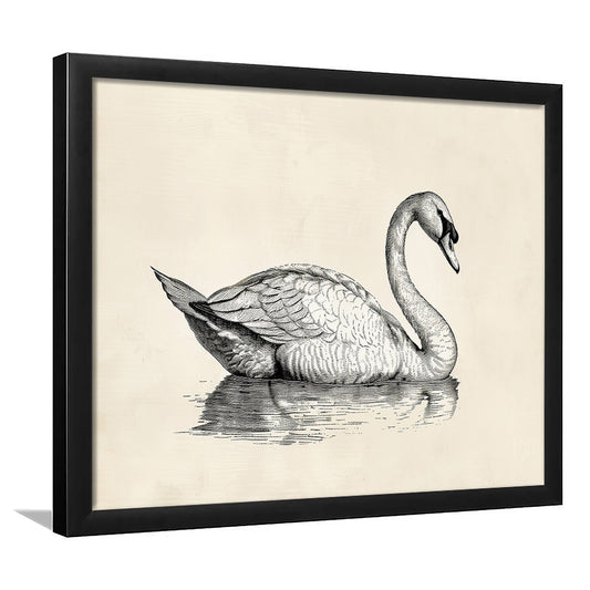 Vintage Swan Print,Antique Print,Wall Decor,Country Farmhouse Decor, Framed Art Print Wall Decor, Picture Framed
