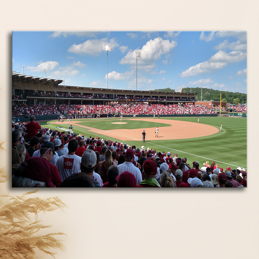 Walker Stadium, Stadium Canvas, Sport Art, Gift for him, Man Cave Decor, Art Print, Canvas Print Wall Art