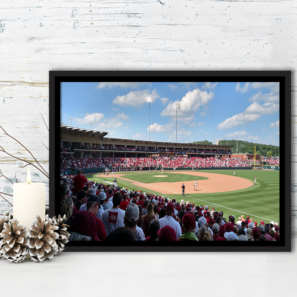 Walker Stadium, Stadium Canvas, Sport Art, Framed Canvas Print Wall Art, Floating Frame