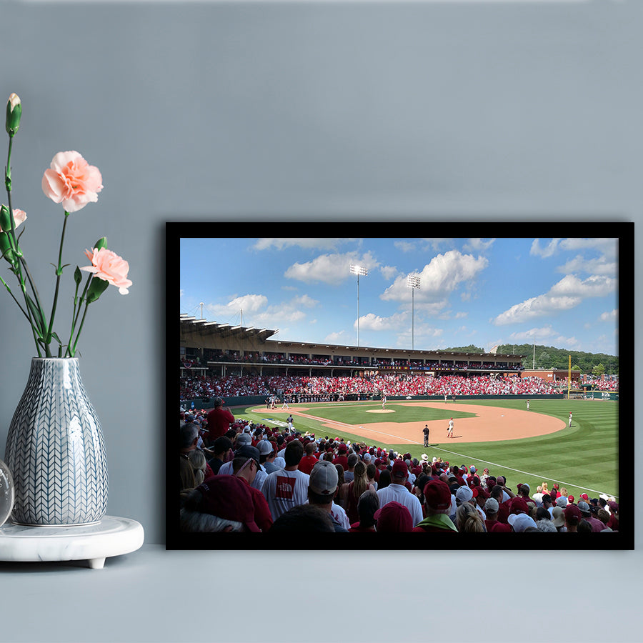 Walker Stadium, Stadium Canvas, Sport Art, Gift for him, Framed Art Print Wall Decor, Picture Framed