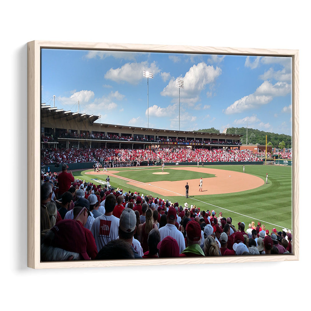 Walker Stadium, Stadium Canvas, Sport Art, Framed Canvas Print Wall Art, Floating Frame