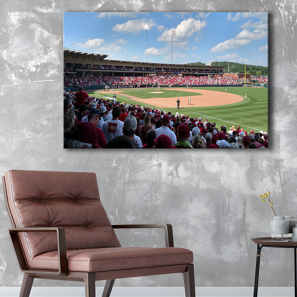 Walker Stadium, Stadium Canvas, Sport Art, Gift for him, Man Cave Decor, Art Print, Canvas Print Wall Art