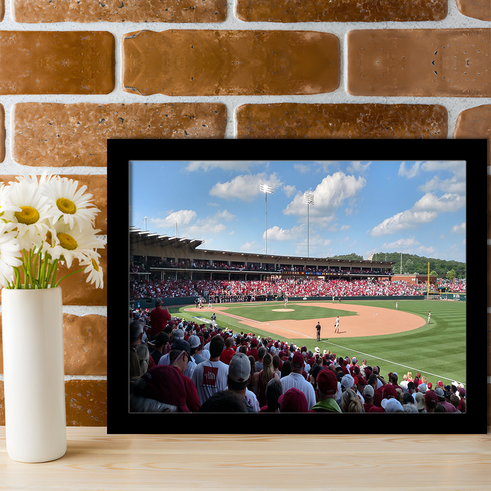 Walker Stadium, Stadium Canvas, Sport Art, Gift for him, Framed Art Print Wall Decor, Picture Framed