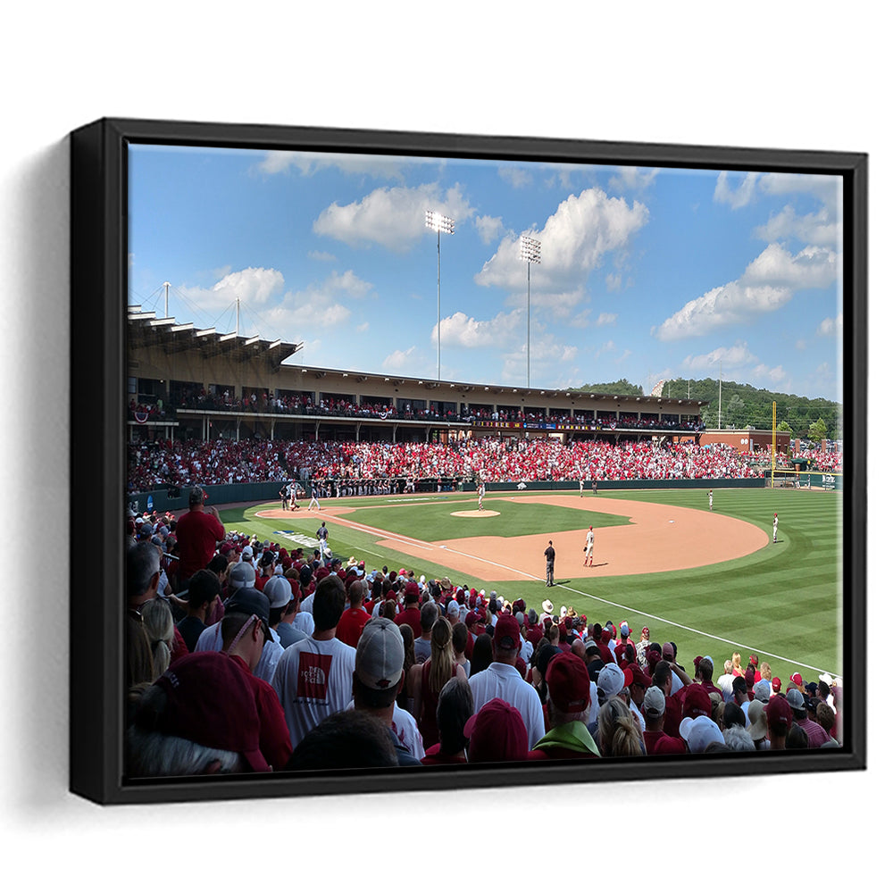 Walker Stadium, Stadium Canvas, Sport Art, Framed Canvas Print Wall Art, Floating Frame