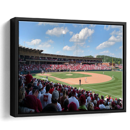 Walker Stadium, Stadium Canvas, Sport Art, Framed Canvas Print Wall Art, Floating Frame