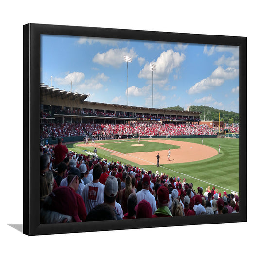 Walker Stadium, Stadium Canvas, Sport Art, Gift for him, Framed Art Print Wall Decor, Picture Framed