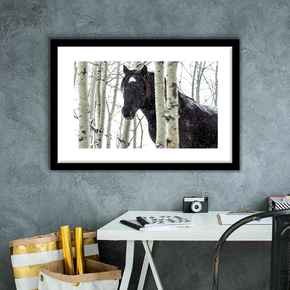 Wild Horse In A Snowstorm, Turner Valley, Alberta, Canada Wall Art, Framed Art Print White Border