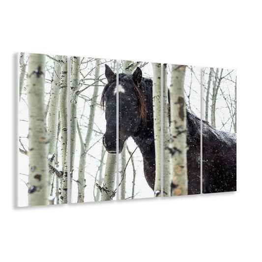 Wild horse in a snowstorm, Turner Valley, Alberta, Canada Wall Art, 5 Piece B Extra Large Cavas Print Wall Art Decor