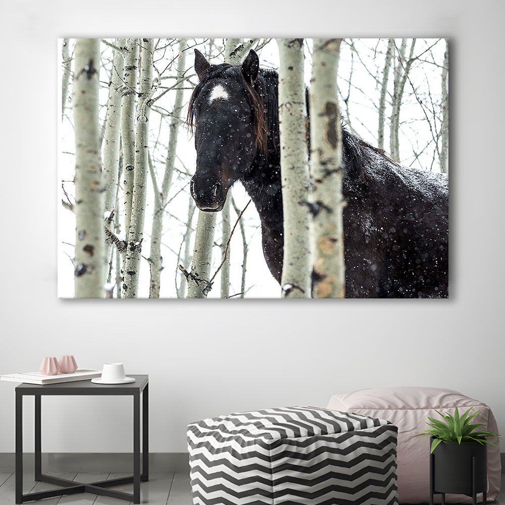Wild horse in a snowstorm, Turner Valley, Alberta, Canada Wall Art, Cavas Print Wall Art Hom Decor