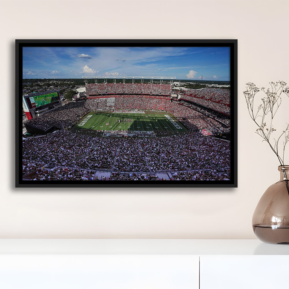 William Brice Stadium, Stadium Canvas, Sport Art, Framed Canvas Print Wall Art, Floating Frame