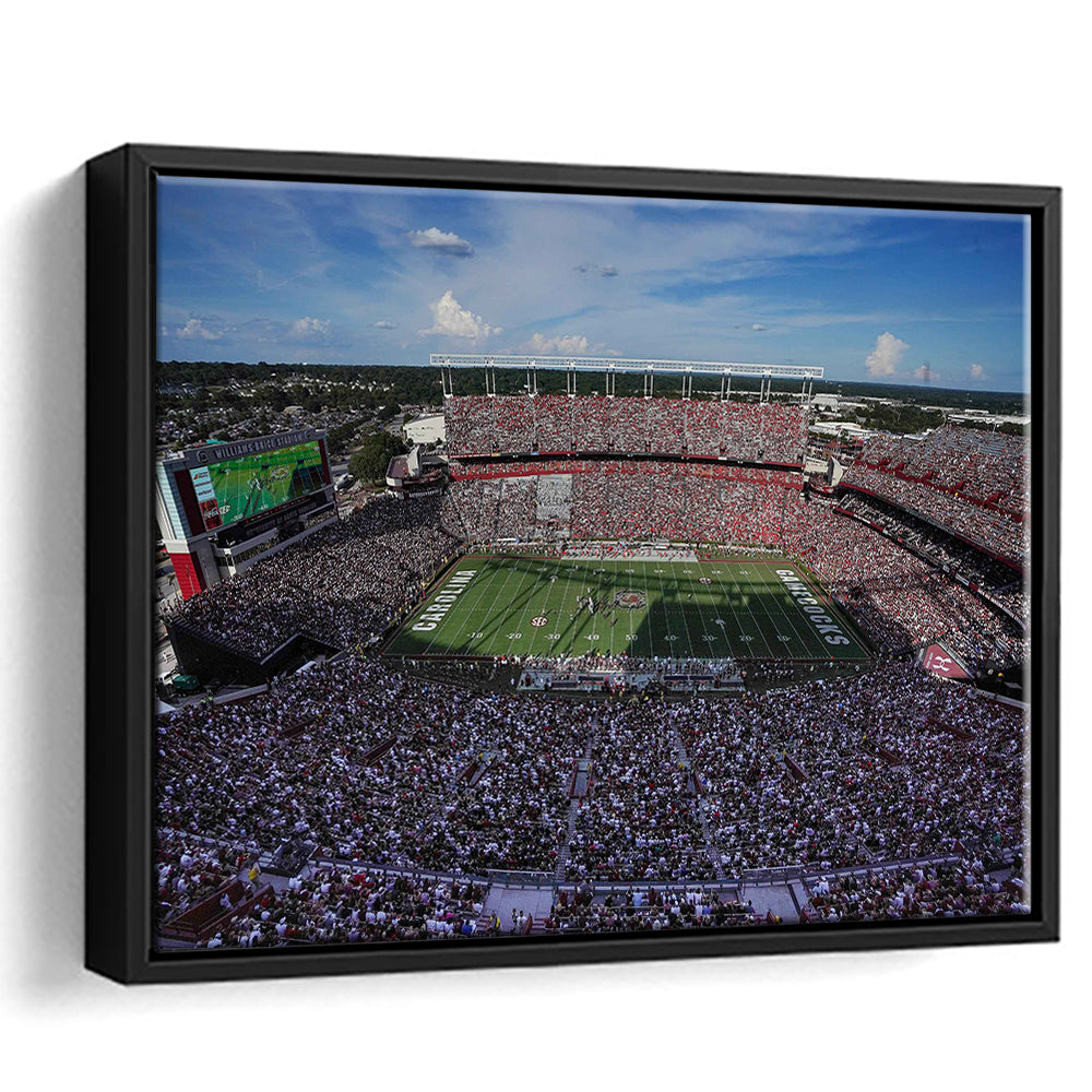 William Brice Stadium, Stadium Canvas, Sport Art, Framed Canvas Print Wall Art, Floating Frame