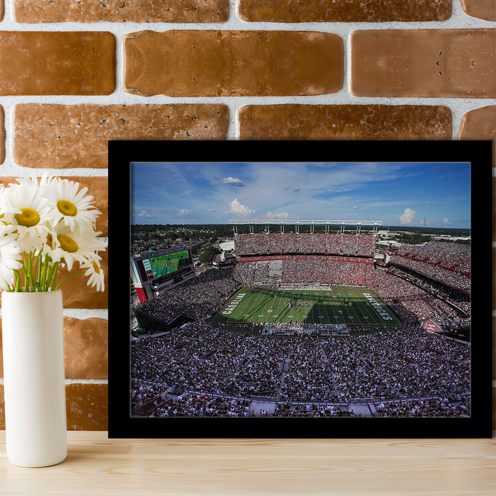 William Brice Stadium, Stadium Canvas, Sport Art, Gift for him, Framed Art Print Wall Decor, Picture Framed