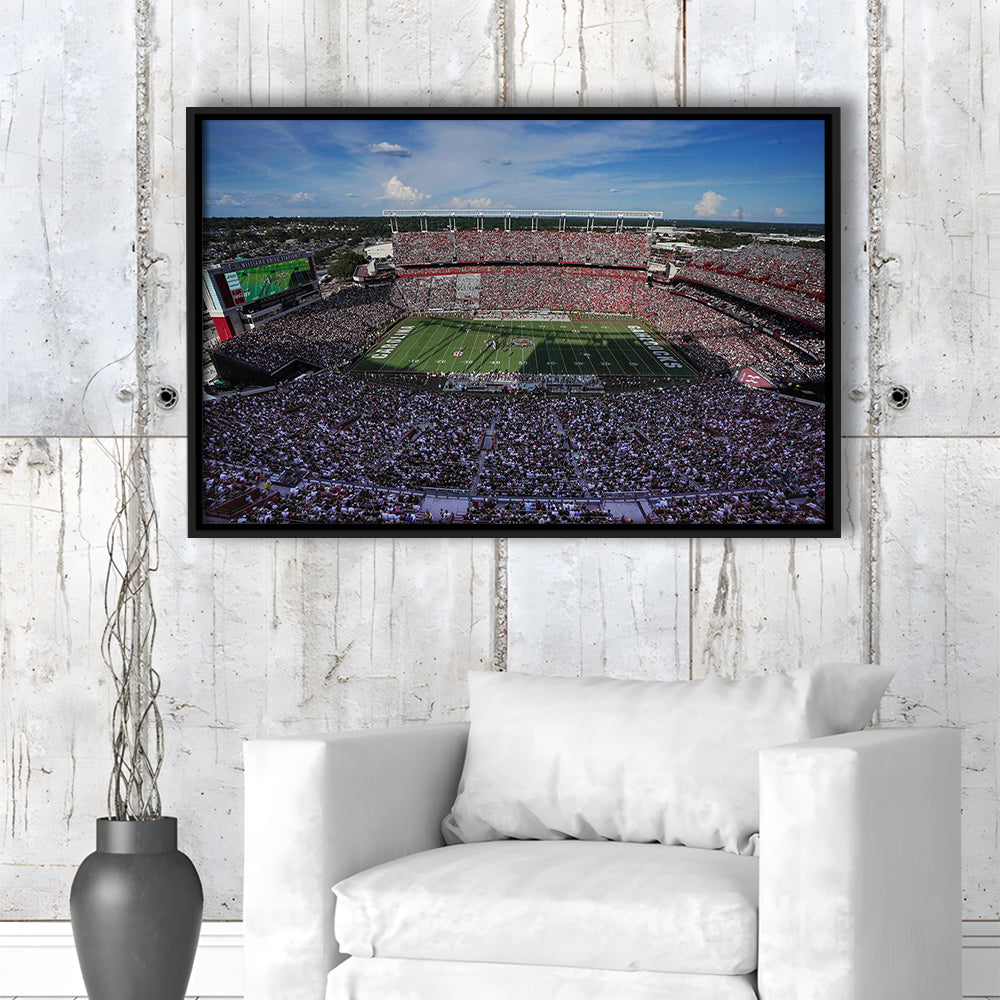 William Brice Stadium, Stadium Canvas, Sport Art, Framed Canvas Print Wall Art, Floating Frame
