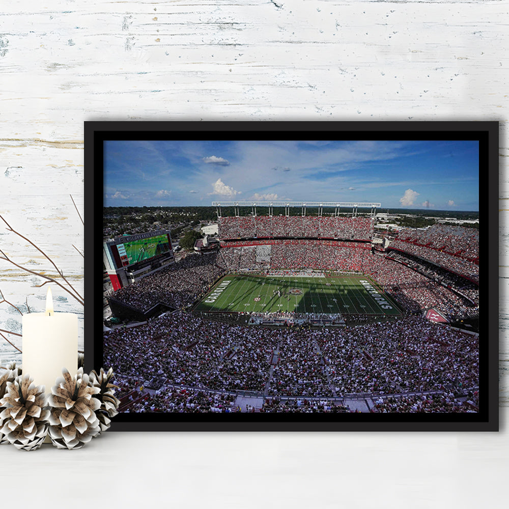 William Brice Stadium, Stadium Canvas, Sport Art, Framed Canvas Print Wall Art, Floating Frame