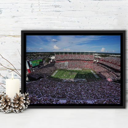 William Brice Stadium, Stadium Canvas, Sport Art, Framed Canvas Print Wall Art, Floating Frame