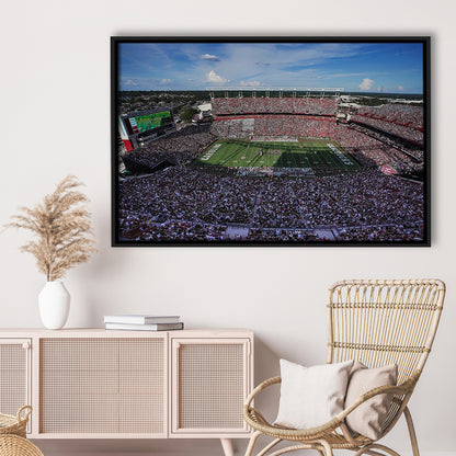 William Brice Stadium, Stadium Canvas, Sport Art, Framed Canvas Print Wall Art, Floating Frame