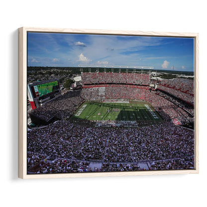 William Brice Stadium, Stadium Canvas, Sport Art, Framed Canvas Print Wall Art, Floating Frame