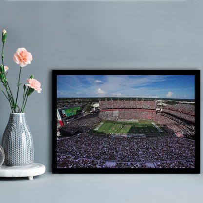William Brice Stadium, Stadium Canvas, Sport Art, Gift for him, Framed Art Print Wall Decor, Picture Framed