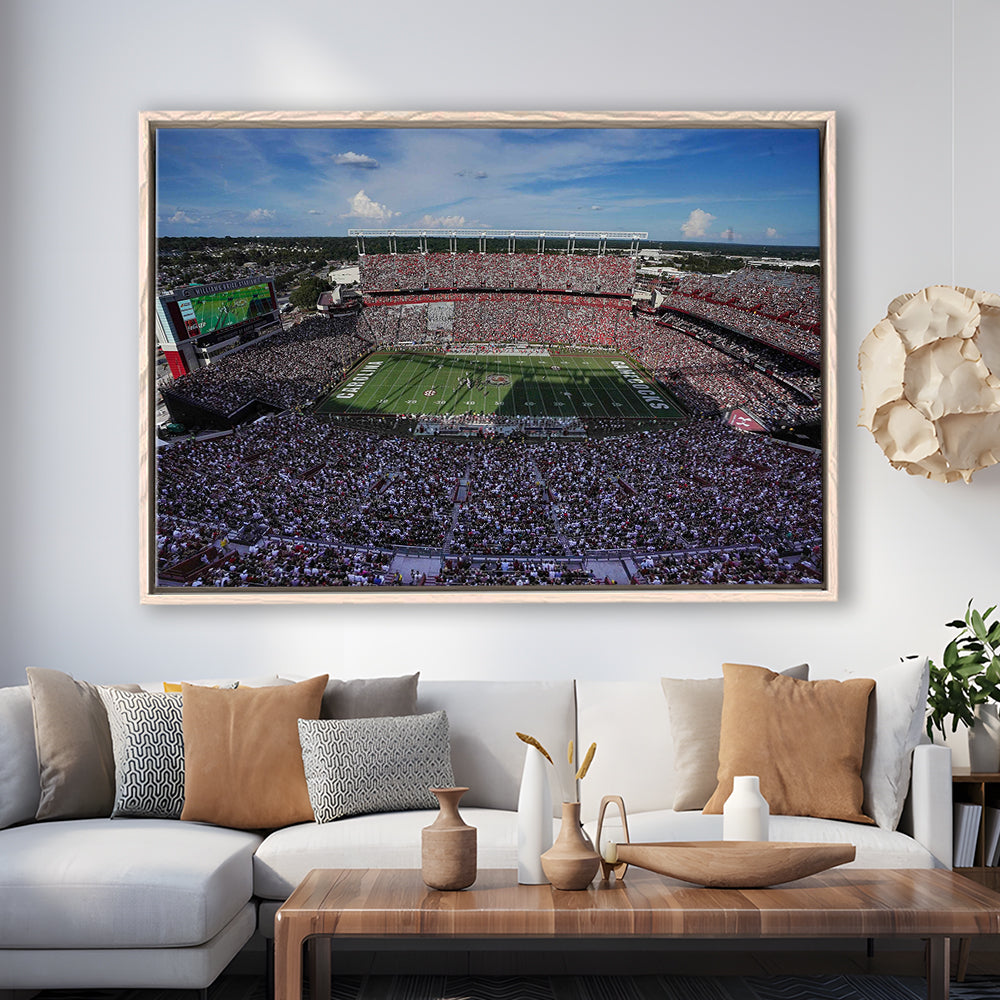 William Brice Stadium, Stadium Canvas, Sport Art, Framed Canvas Print Wall Art, Floating Frame