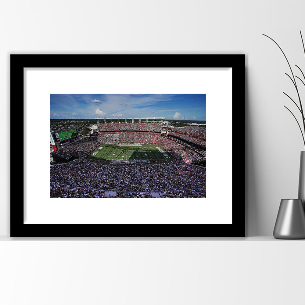 William Brice Stadium, Stadium Canvas, Sport Art, Gift for him, White Border Framed Art Print Wall Decor
