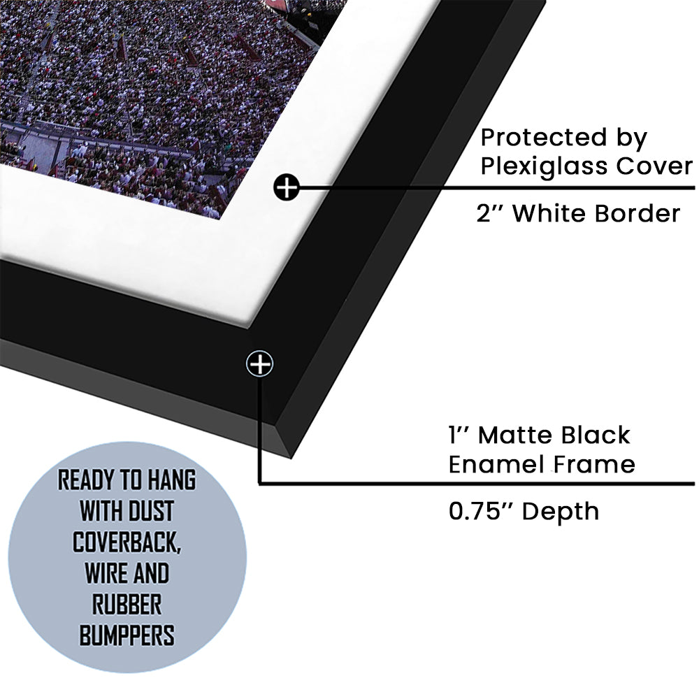 William Brice Stadium, Stadium Canvas, Sport Art, Gift for him, White Border Framed Art Print Wall Decor